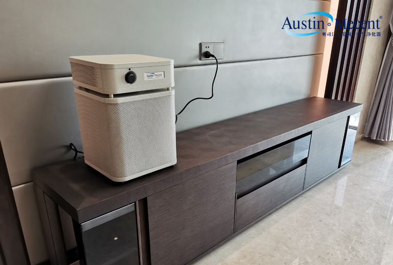 室內(nèi)裝飾建議用地毯嗎？環(huán)保材料是無甲醛嗎？